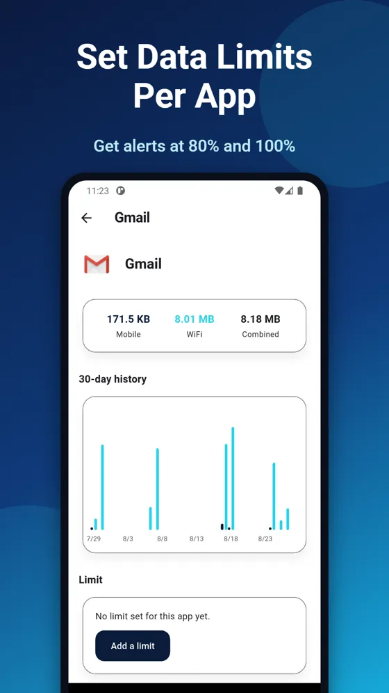 Data Usage Monitor screen 4